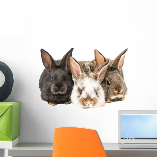 Little Rabbits Wall Decal