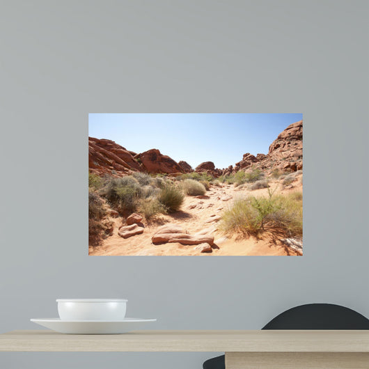 Red Sandstone Desertscape
