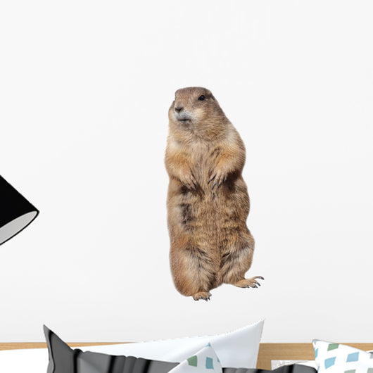 Prairie dog Wall Decal
