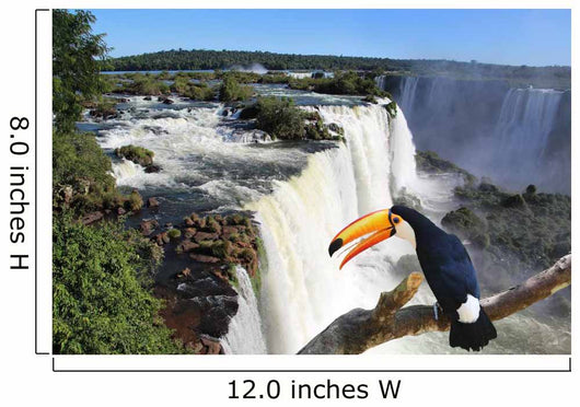 Iguazu Waterfall with a giant toucan bird in foreground Wall Mural