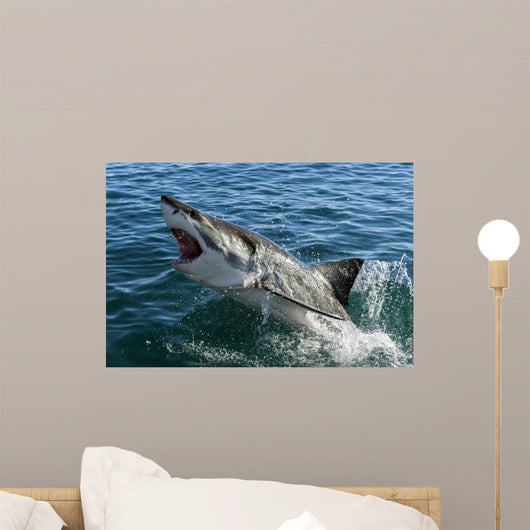 Great white shark Wall Mural