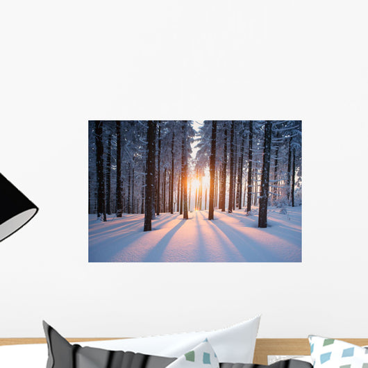 Sunset Wood Winter Period