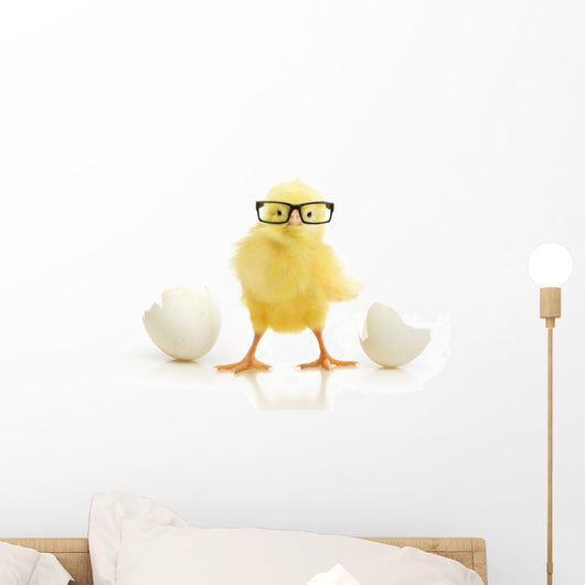 Chicken Coming out White