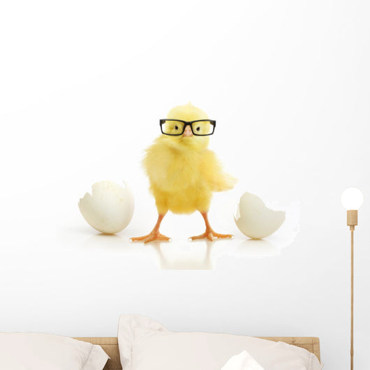 Chicken Coming out White