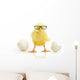Chicken Coming out White