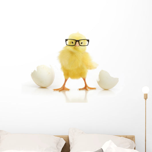 Chicken Coming out White
