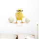 Chicken Coming out White