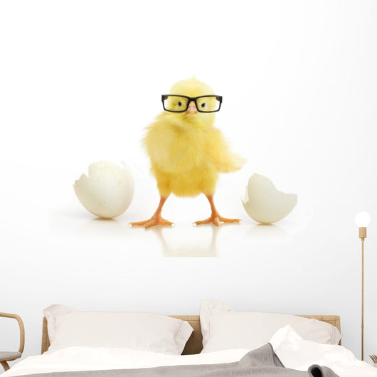 Chicken Coming out White