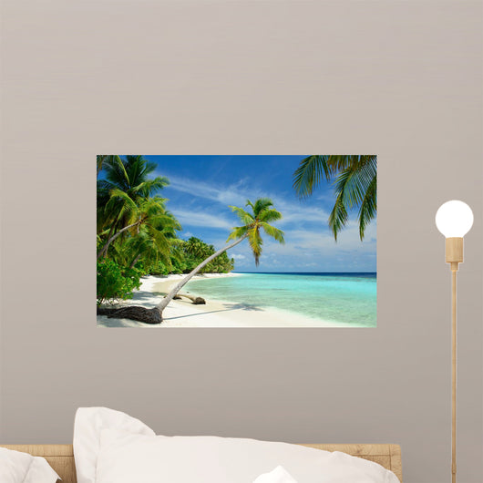 Einsamer Strand Mit Palmen