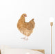 Orpington Chicken Wall Decal