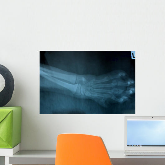 Wild Cat Foot X Ray Wall Decal