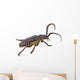 Longhorn Beetle White Wall Decal