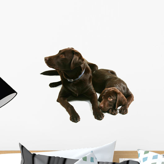 Two Chocolate Labrador Retriever Brothers Wall Decal