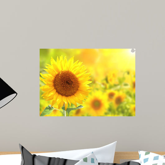 Bright Yellow Sunflowers