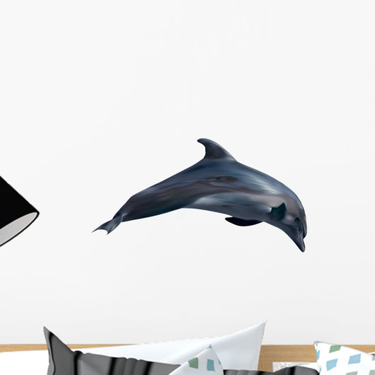 Dolphin White Illustration