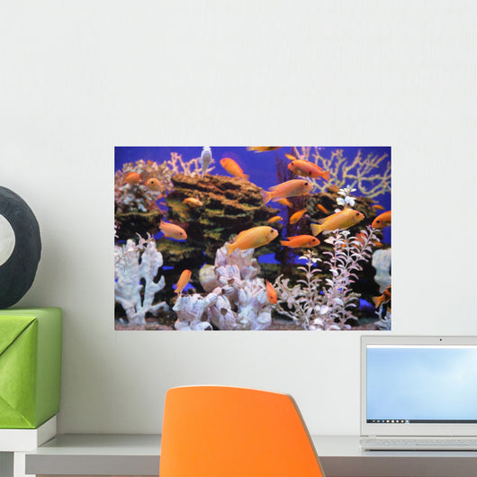 Aquarium With Bright Small Fishes and Corals Wall Mural