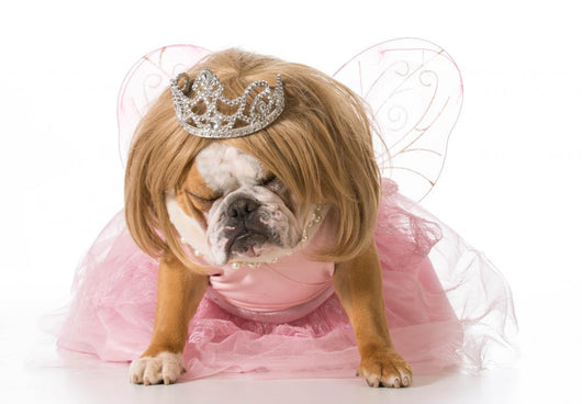 Naughty Princess Bulldog Wall Decal
