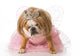 Naughty Princess Bulldog Wall Decal