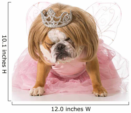 Naughty Princess Bulldog Wall Decal