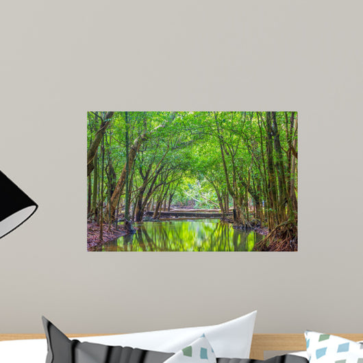 Forest Jungle Tropic Rain