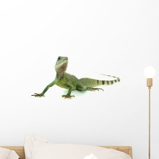 Chinese Water Dragon Wall Decal