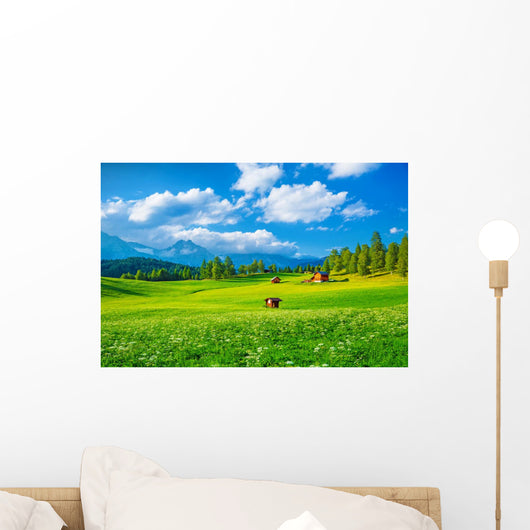Beautiful Landscape