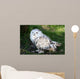 Snowy Owl