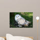 Snowy Owl