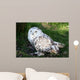 Snowy Owl