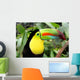 Toucan