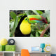Toucan