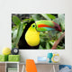 Toucan