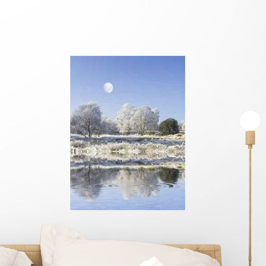 Winter Freeze Northern England Wall Decal