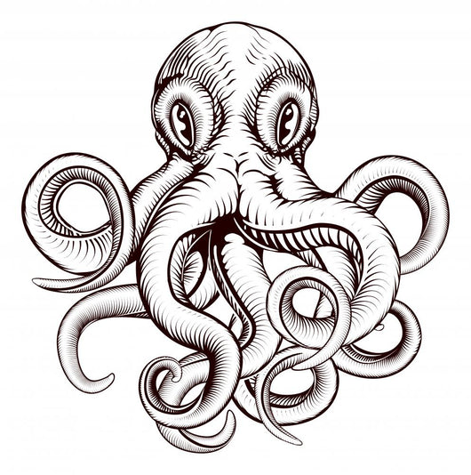 Octopus illustration Wall Decal