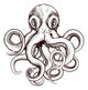 Octopus illustration Wall Decal