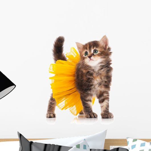 Cute kitten Wall Decal