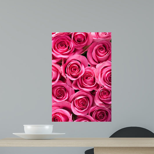 Beautiful Pink Roses