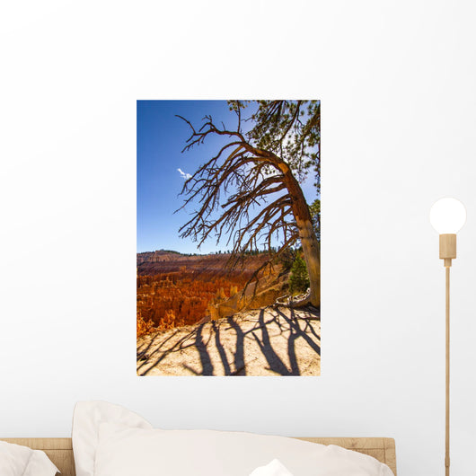Bryce Canyon Wall Mural
