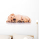 Little Labrador Retriever Puppy