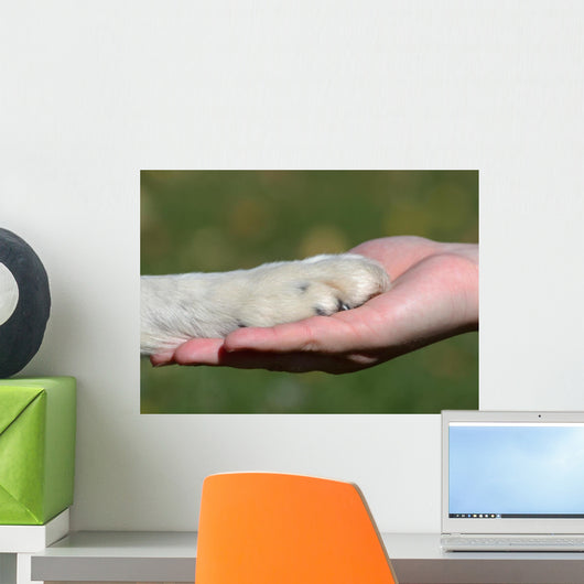 Friends Hand and Paw