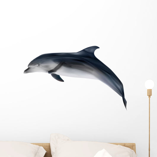 grey dolphin on white illustration Wall Decal
