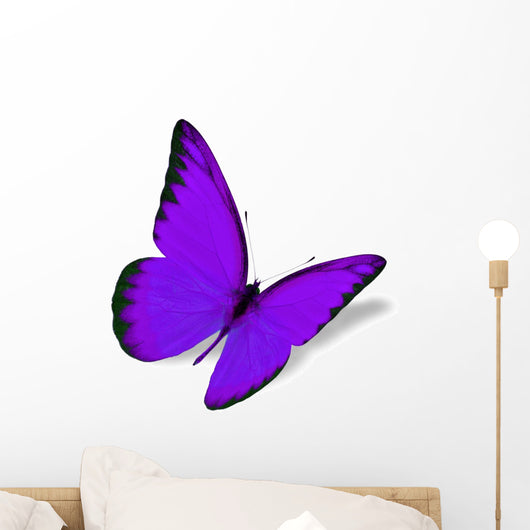 Purple Butterfly Wall Decal