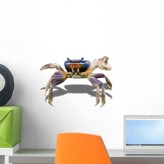 Crabby Crab Wall Decal
