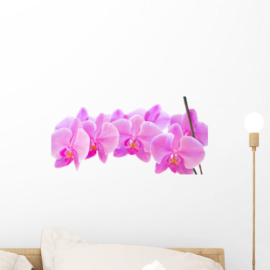 Row of Orchids Wall Decal