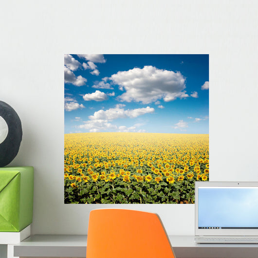 Sunflower Field Wall Mural