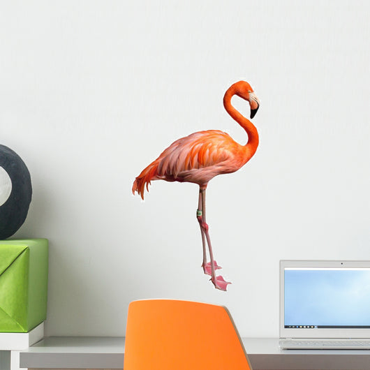 Pink Flamingo Wall Decal