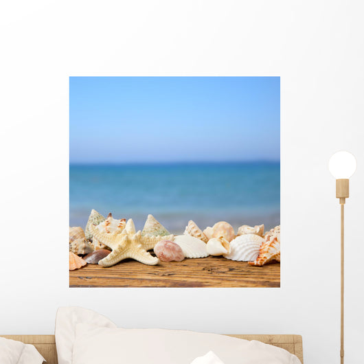 Seashells