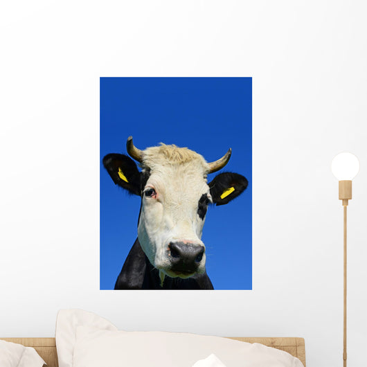 Head Cow against Sky