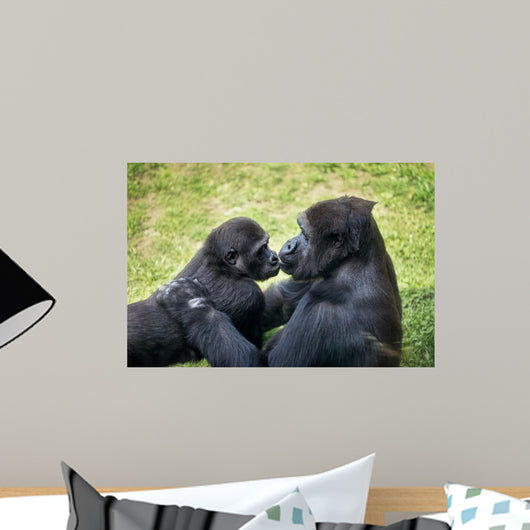 Baby Gorilla with Mother