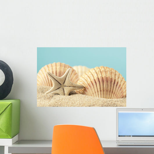 Starfish and Seashell Beach